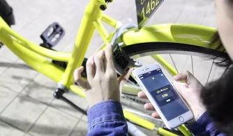 滴滴出行(xing)跨界(jie)布局(ju)自(zi)行車，代(dai)駕服(fu)務(wu)再升(sheng)級，摩拜(bai)單車(che)如(ru)何(he)應對？